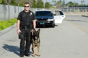 k-9 unit, police dog, Illinois criminal defense lawyer, drug crimes, Chicago criminal attorney